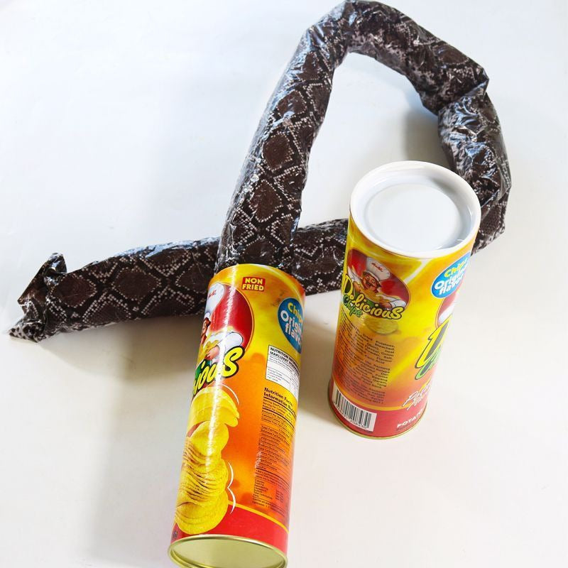 Realistic Snake in Chips Can Prank – Hilarious Gag Gift for Friends