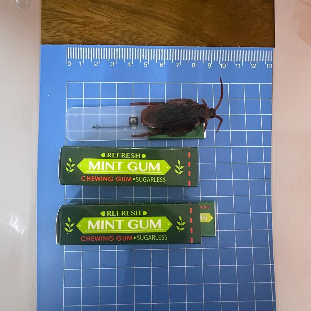 Realistic Cockroach Gum Prank – Funny April Fools Joke Toy